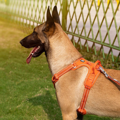 Reflective Dog Harness