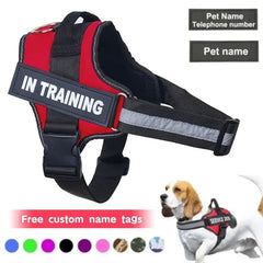 Personalized Dog Harness