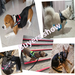 Personalized Dog Harness