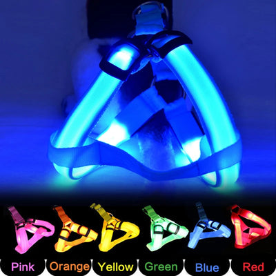 Adjustable LED Dog Harness