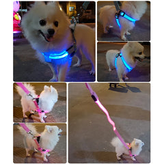 Adjustable LED Dog Harness