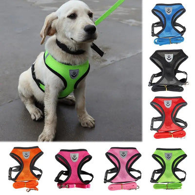 Adjustable Dog Harness