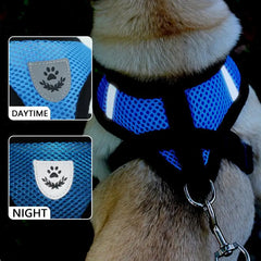 Adjustable Dog Harness