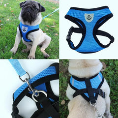 Adjustable Dog Harness